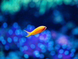 №1013799 - оригинал