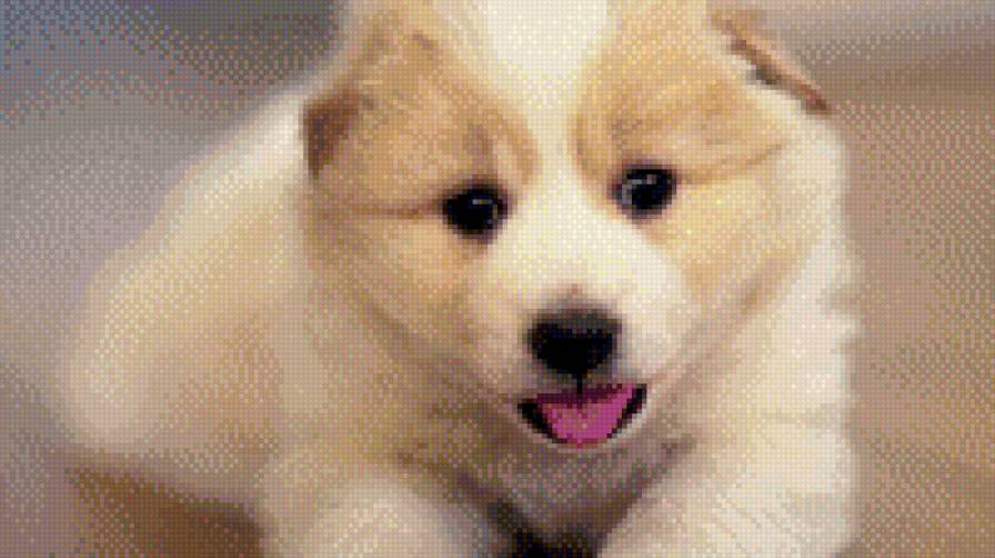 №1013809 - предпросмотр