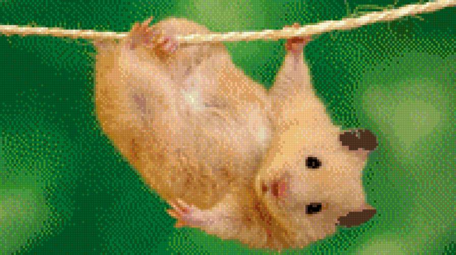 №1013810 - предпросмотр