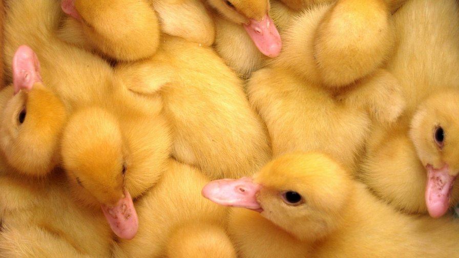 №1013813 - оригинал