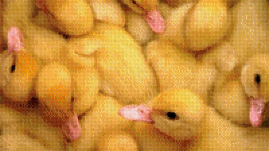 №1013813 - предпросмотр