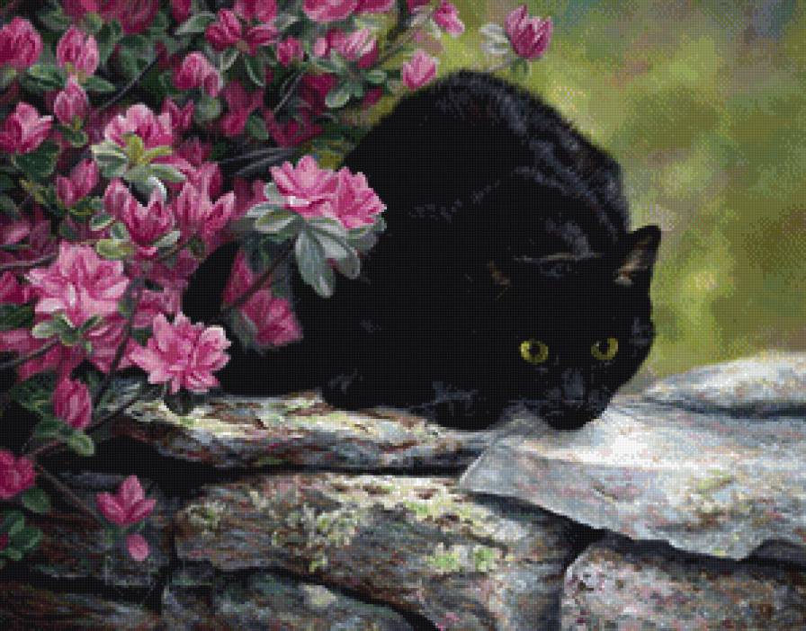 №1013888 - предпросмотр