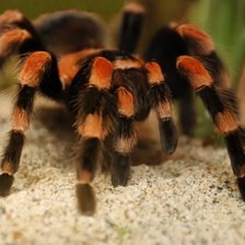 Схема вышивки «т»