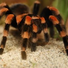 Схема вышивки «№1013939»