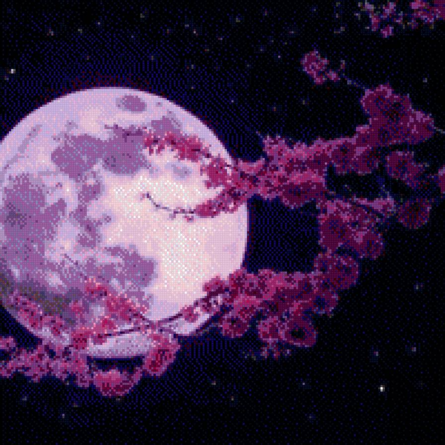 Сакура в лунном свете - предпросмотр