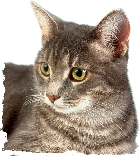 №1014055 - оригинал