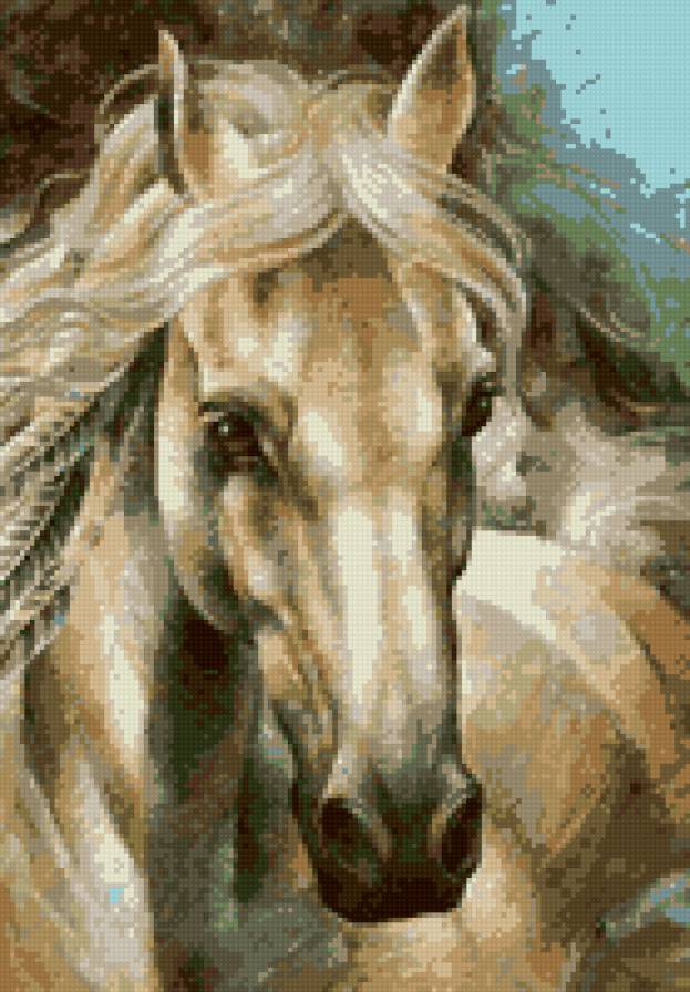 Лошадь - предпросмотр