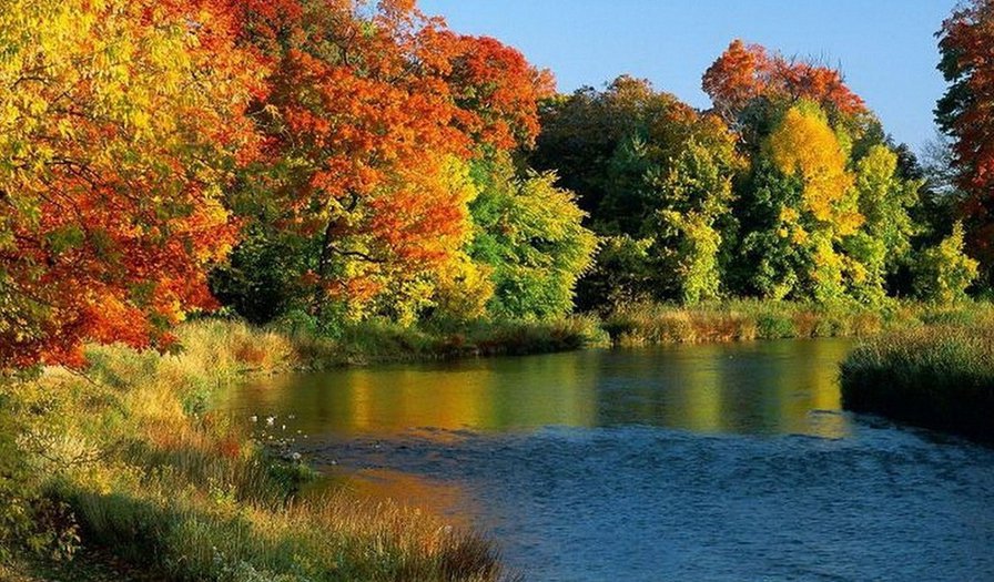 Октябрь - пейзаж, природа, осень, река - оригинал