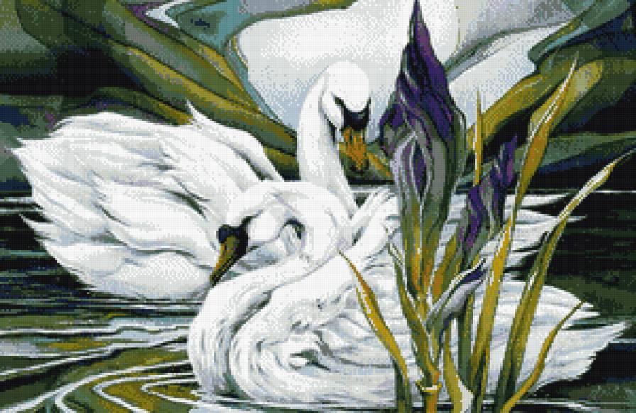 лебеди - река, лебеди - предпросмотр