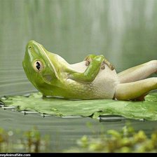 Схема вышивки «№1015312»