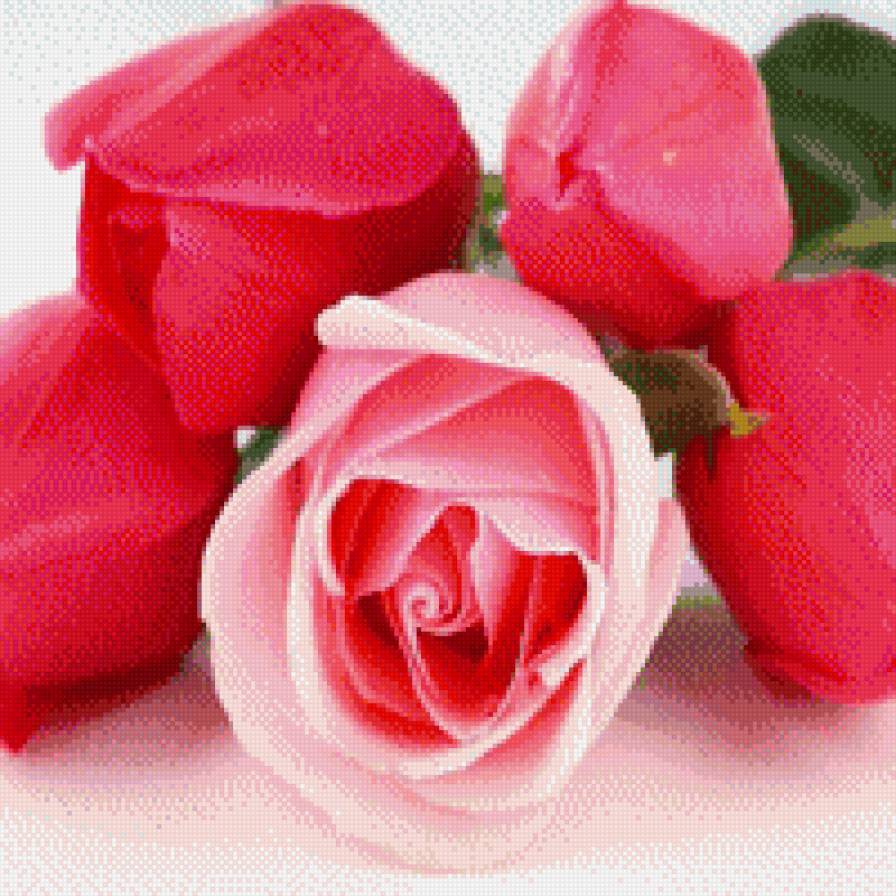 resaltando sobre las demas - предпросмотр