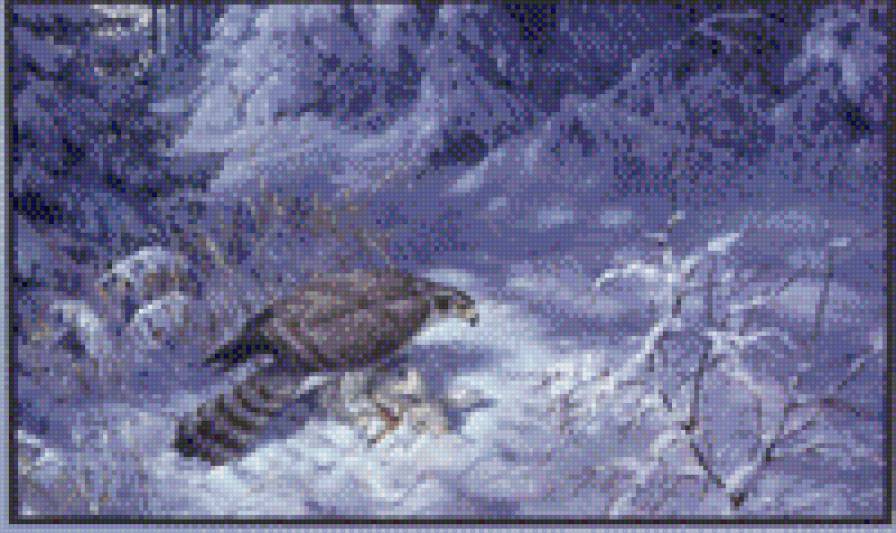 ястреб - ястреб - предпросмотр