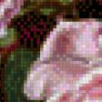 Предпросмотр схемы вышивки «розы» (№1015874)