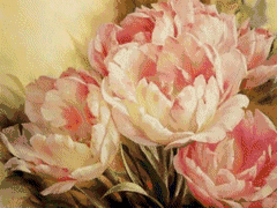 королевские тюльпаны - предпросмотр