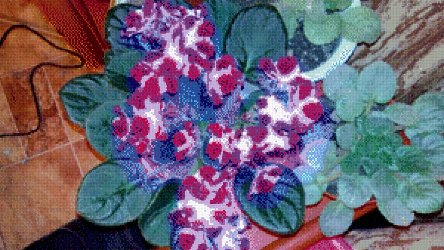 Ира - предпросмотр