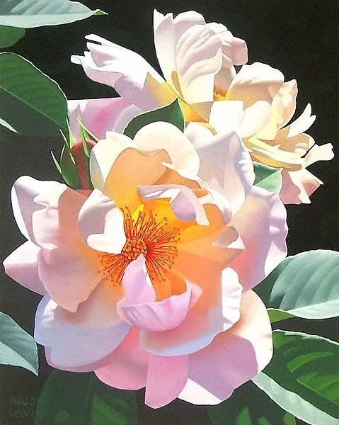 Магнолия - цветы, магнолия - оригинал