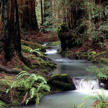 Схема вышивки «№1016347»