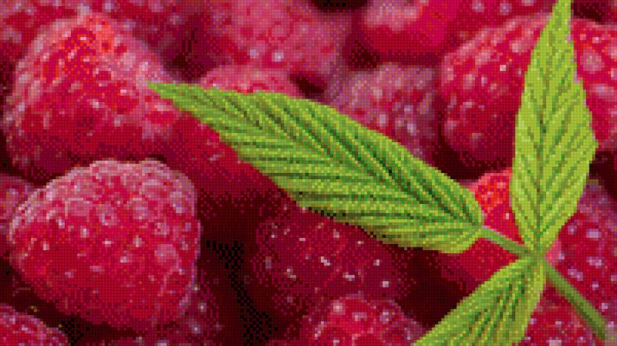 №1016361 - предпросмотр