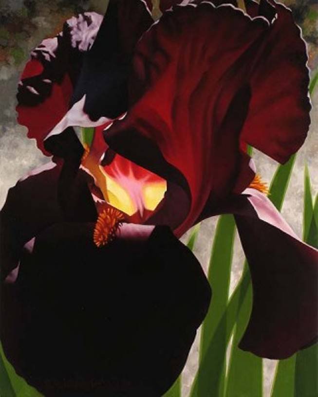 Ирис - цветы, ирис - оригинал
