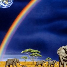 Схема вышивки «№1016371»