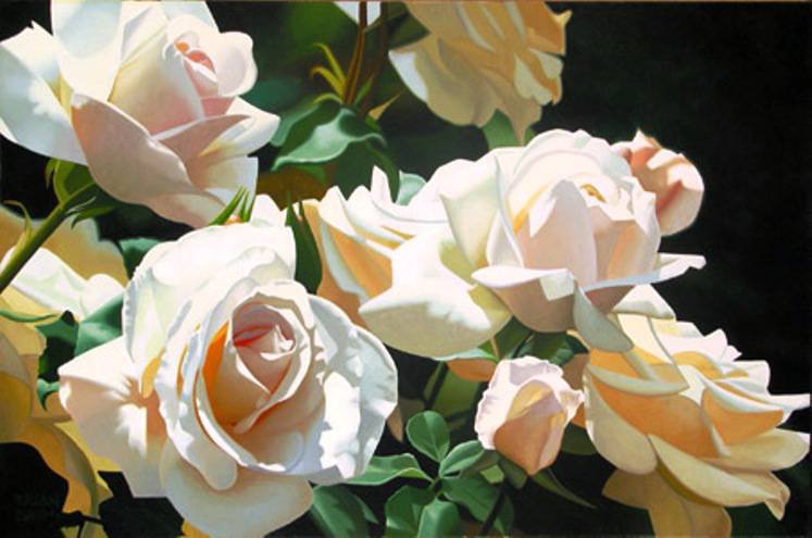 Розы - розы, цветы - оригинал