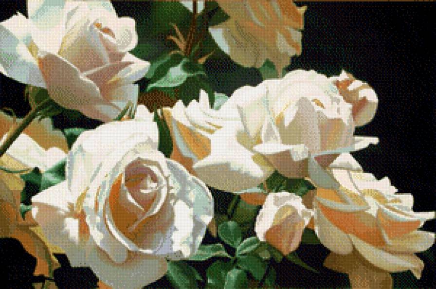 Розы - цветы, розы - предпросмотр