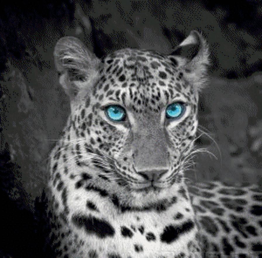 в мире животных - природа, животные, тигры, леопарды - предпросмотр