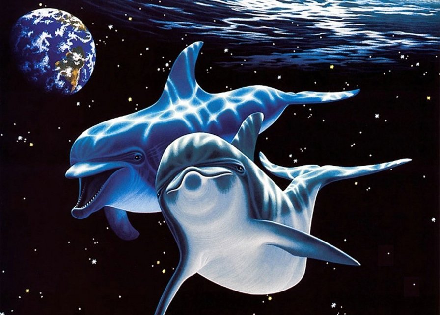 Дети Вселенной. Дельфины. - космос, земля, вселенная, дельфины - оригинал