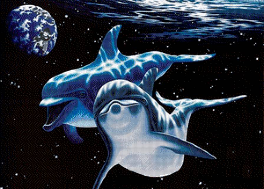 Дети Вселенной. Дельфины. - дельфины, космос, земля, вселенная - предпросмотр