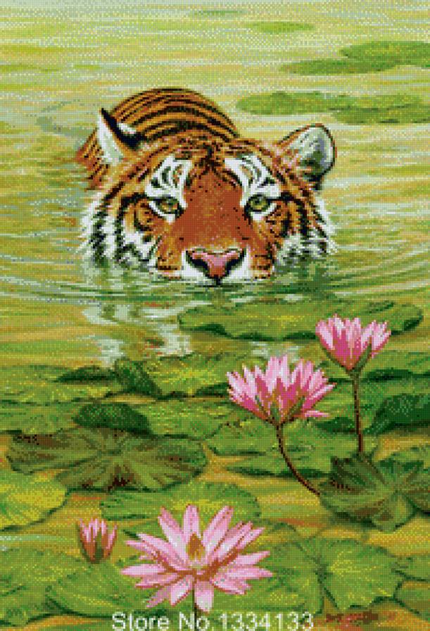 Тигр и лотосы. - вода, лотосы, тигр - предпросмотр