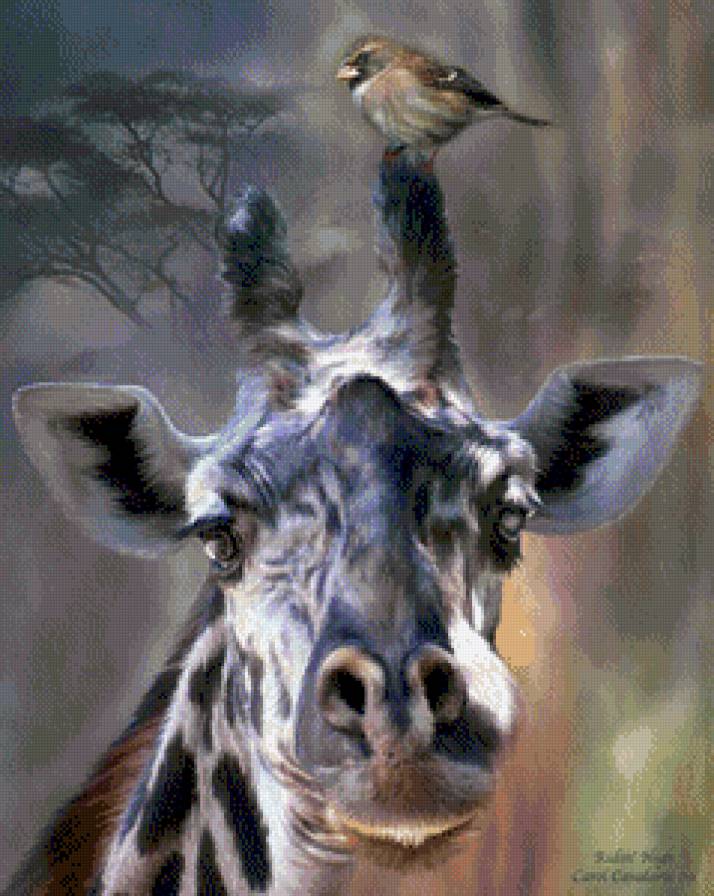 Высоко сижу, далеко гляжу - каваларис, жираф, животные, птичка - предпросмотр