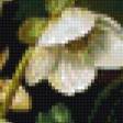 Предпросмотр схемы вышивки «цветы» (№1017016)
