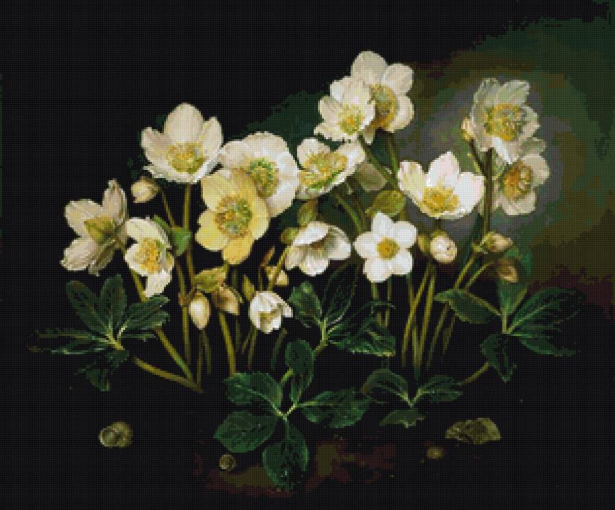 цветы - предпросмотр