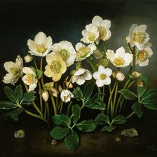 Схема вышивки «цветы»