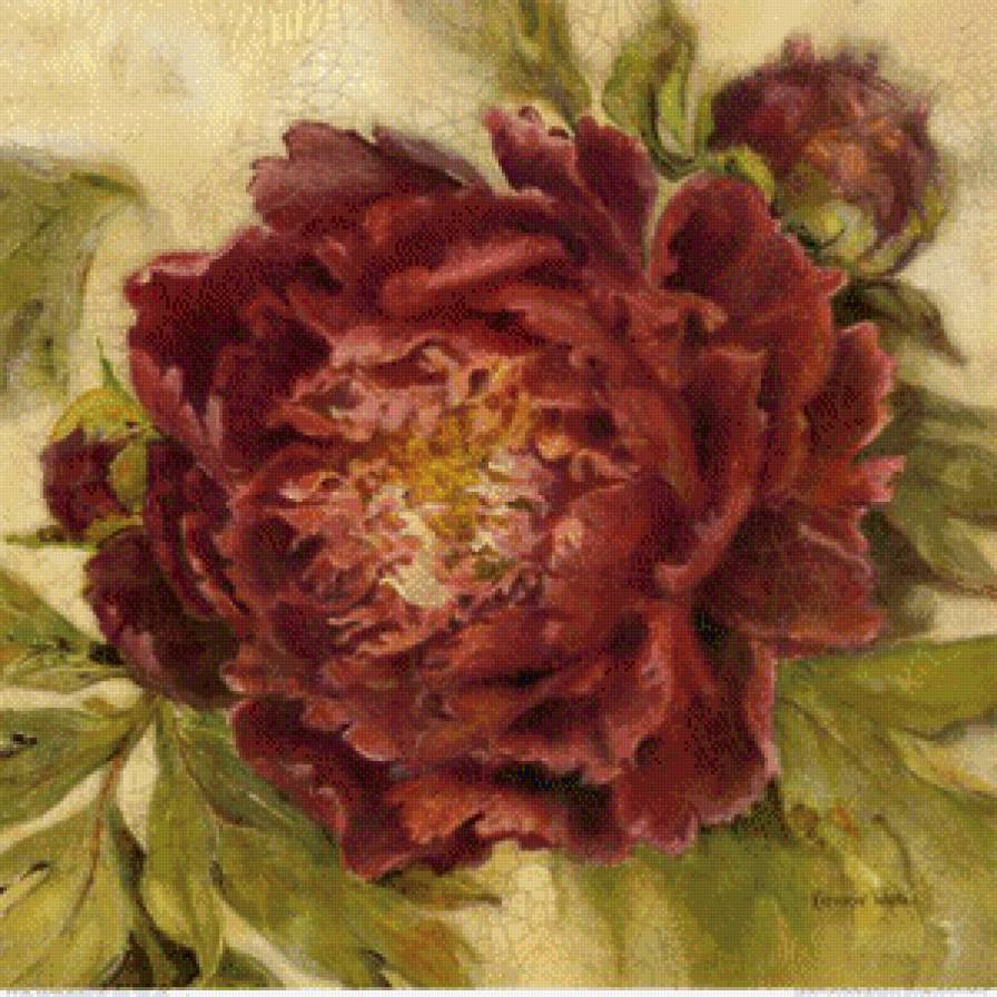 пион 2 - предпросмотр