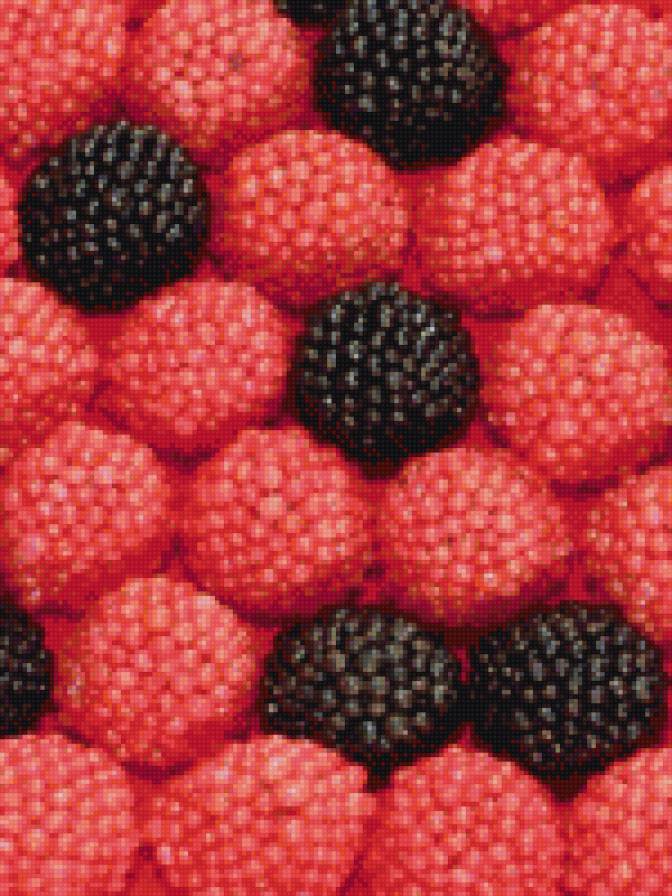 №1017933 - малина, ежевика, ягоды - предпросмотр