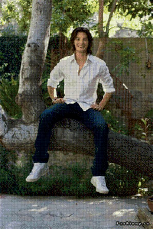 №1018004 - предпросмотр