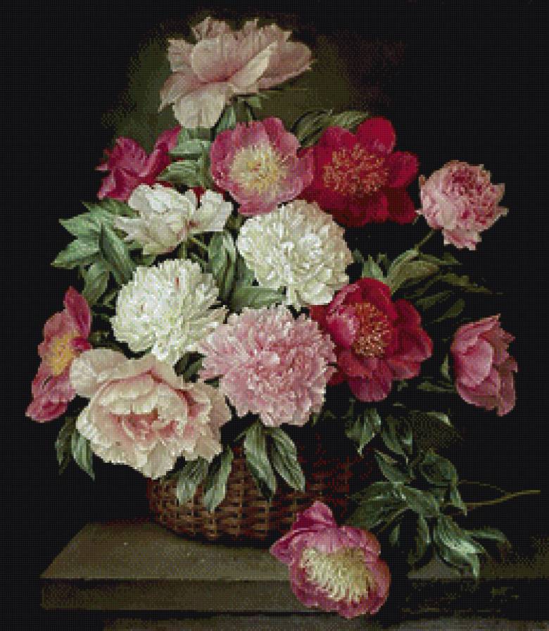 пионы 3 - пионы, цветы - предпросмотр