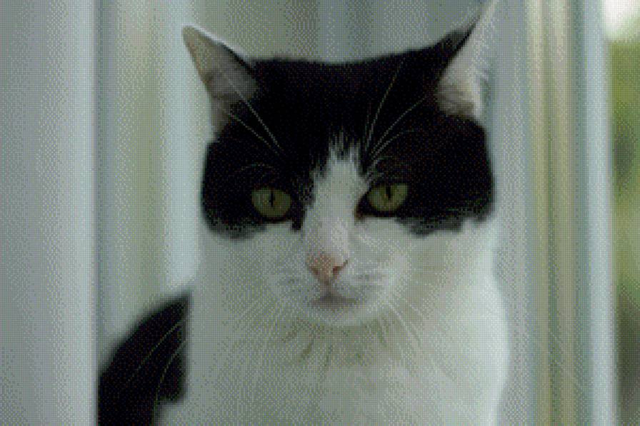 №1018064 - предпросмотр