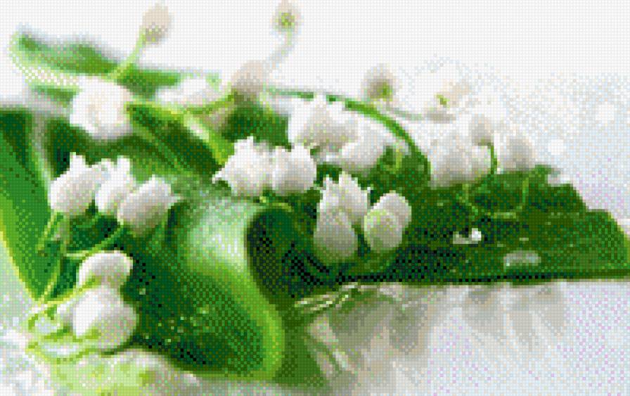 Ландыши - цветы - предпросмотр