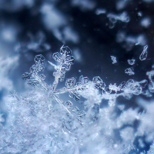 №1018282 - оригинал