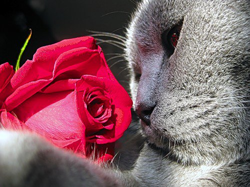 №1018287 - оригинал