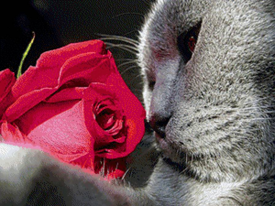 №1018287 - предпросмотр