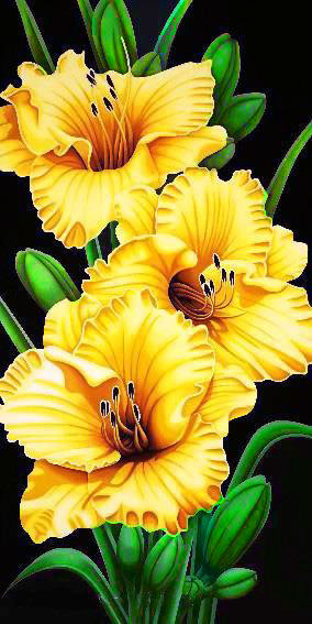 лилии на черном - оригинал