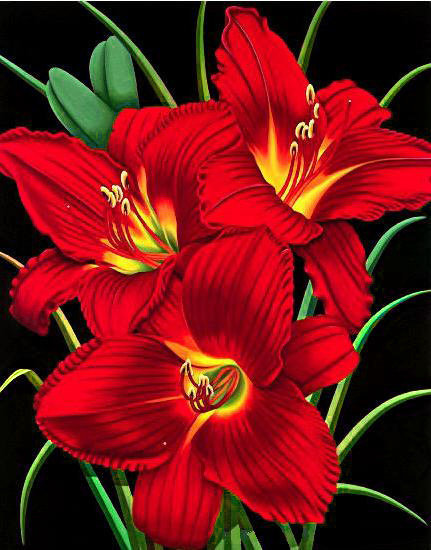 лилии на черном 1 - оригинал