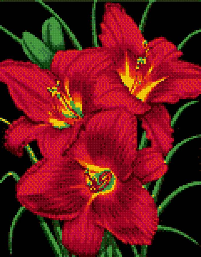 лилии на черном 1 - предпросмотр