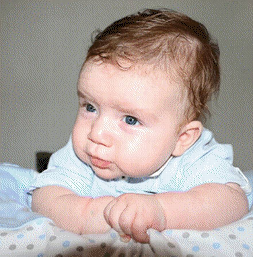 nika - предпросмотр