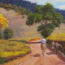 Paseo por la campiña