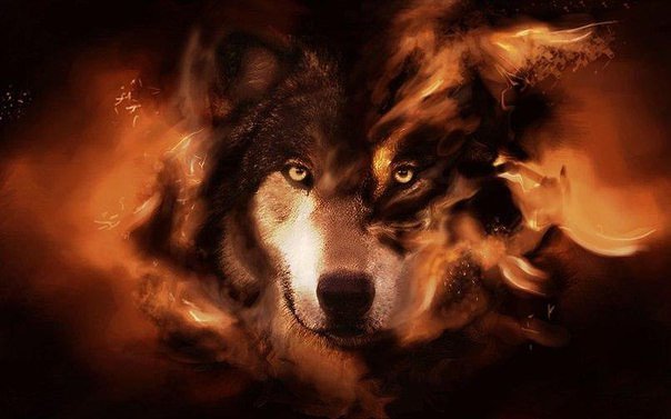 волк - волки, животные - оригинал