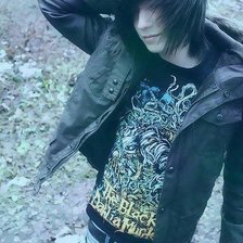 Схема вышивки «Челкастый»